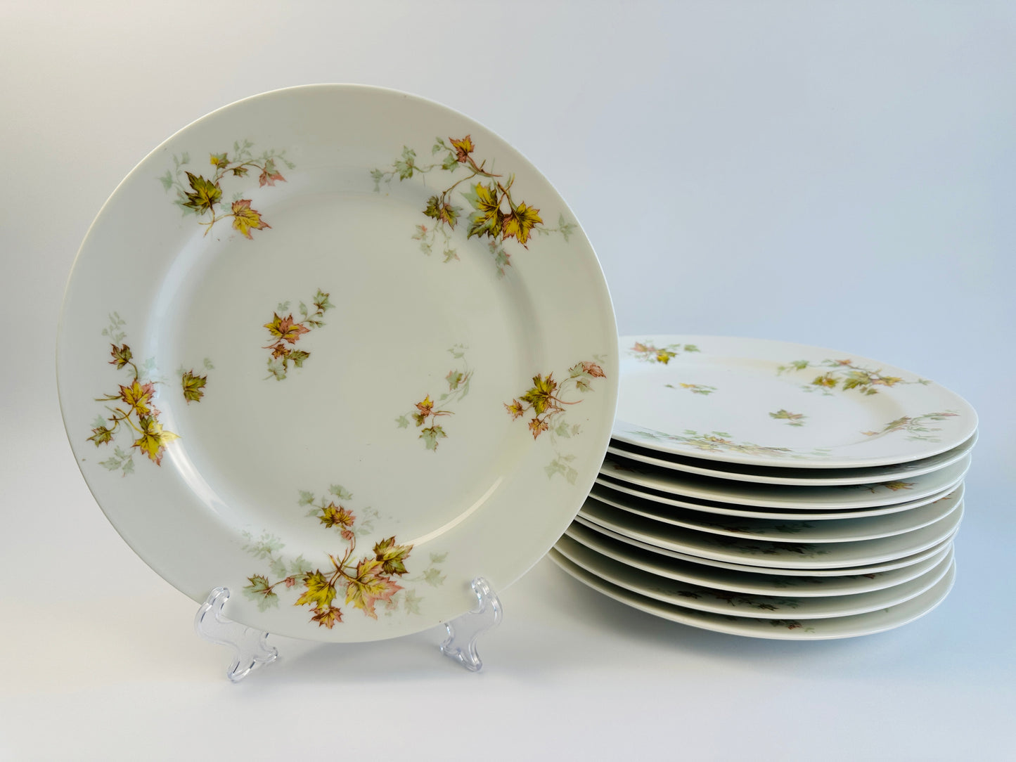 Haviland Autumn Leaves Dinner Plates Set of Eleven