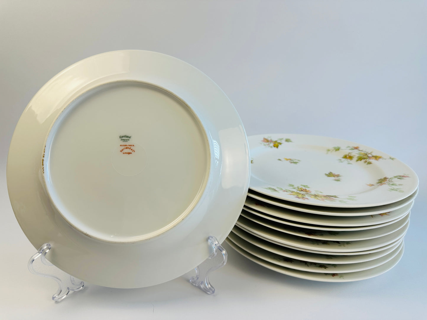 Haviland Autumn Leaves Dinner Plates Set of Eleven