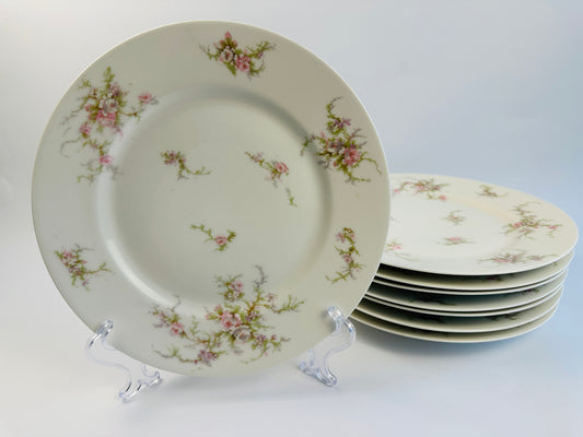 Haviland Pink Rose Dinner Plates Set of Eight