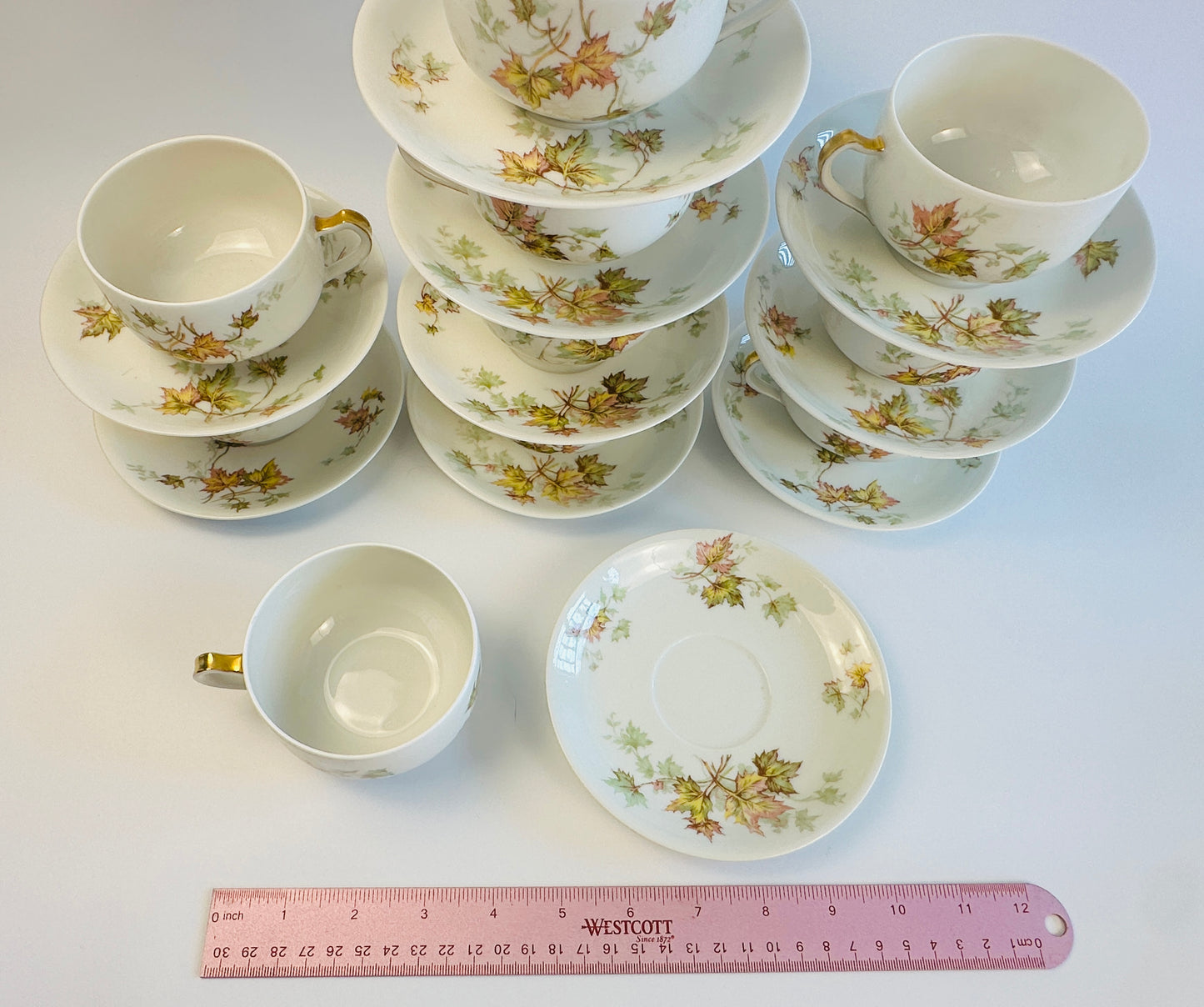 Haviland Fall Leaves Cups & Saucers Set of Ten