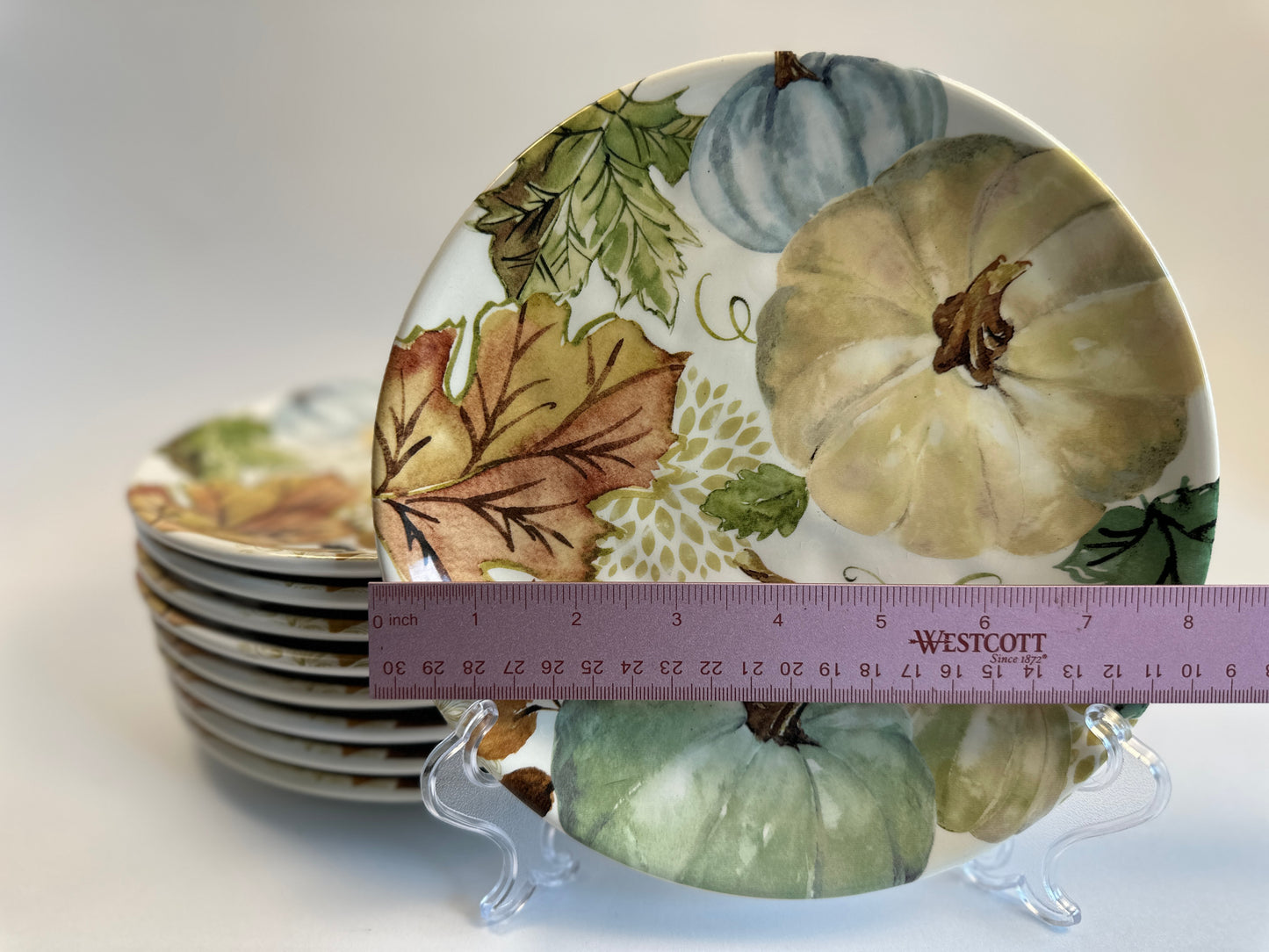 Robert Stanley Pumpkin Plate Set of Nine